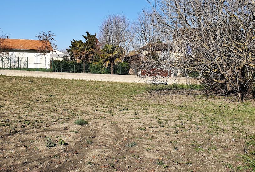  Vente Terrain + Maison - Terrain : 794m² - Maison : 88m² à Castelnaudary (11400) 
