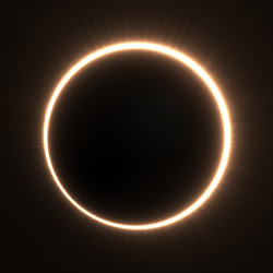 Totality #231