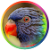 Meilleures sonneries d'oiseaux icon