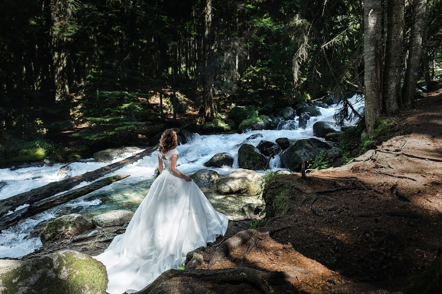 Fotografer pernikahan Aleksandr Elcov (prowed). Foto tanggal 19 Juli 2017