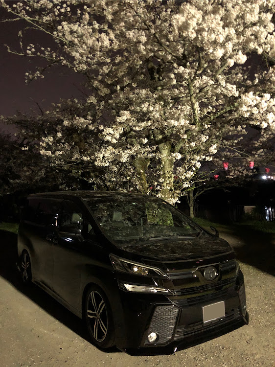 ヴェルファイアの桜🌸とコラボ・ダズフェローズ DazzFellows・ローガン・御田家に関するカスタム事例の投稿画像1枚目