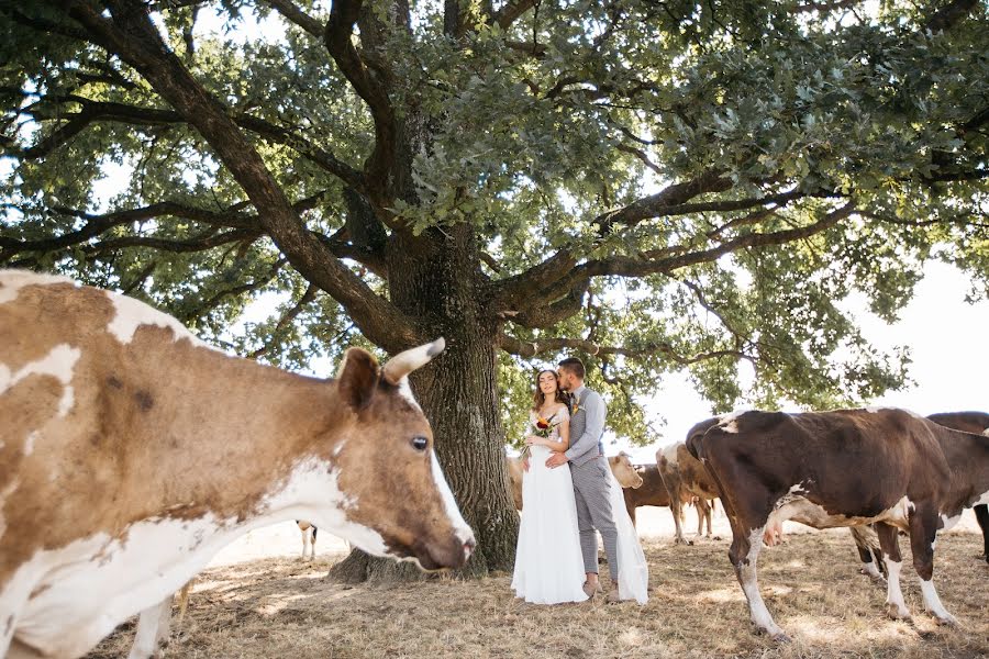 Wedding photographer Dmitriy Roman (romdim). Photo of 11 September 2018