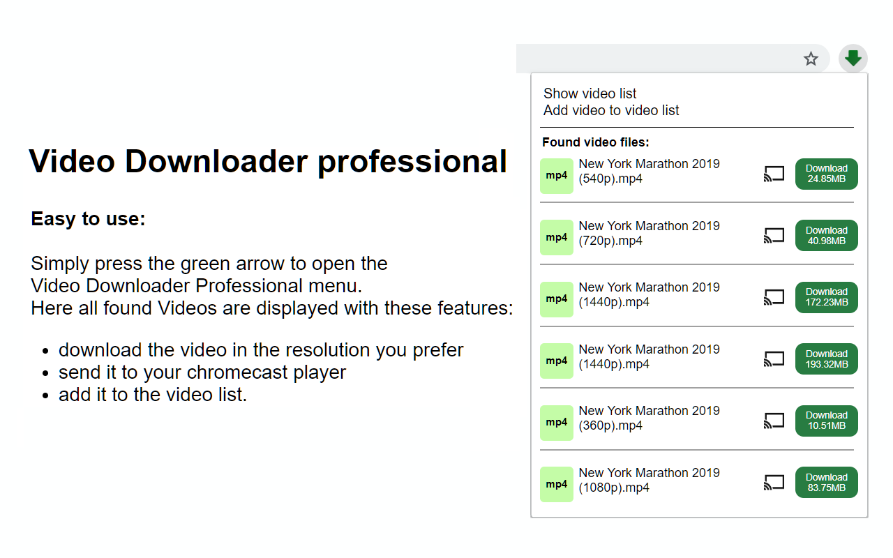 Video Downloader Professional Preview image 3