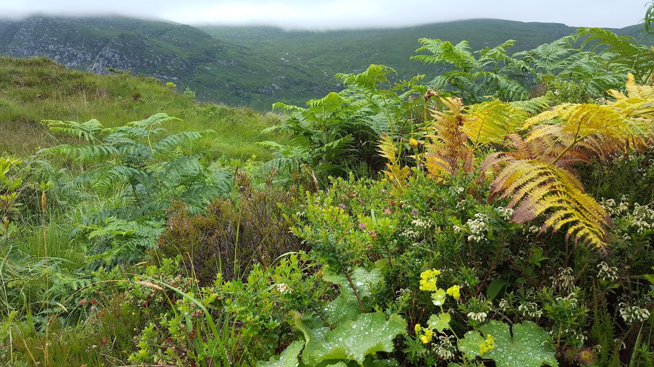 Glenveagh