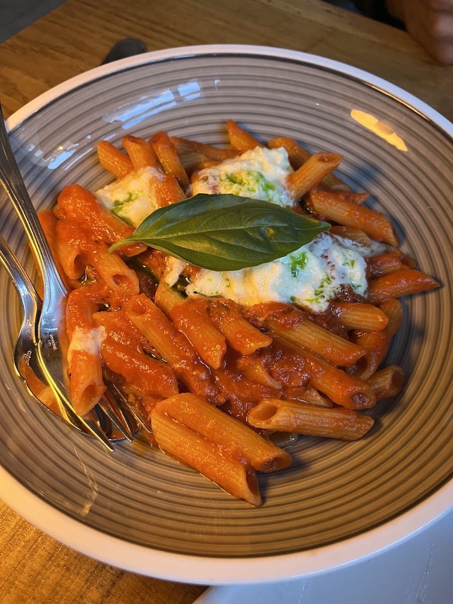 GF pasta with tomato basil sauce and cheese