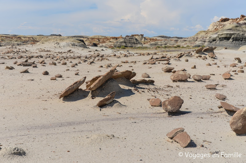 bisti rock garden