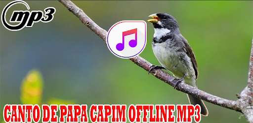 Canto do Papa capim for Android - Download