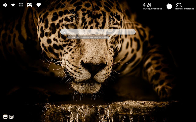 Jaguar Wallpapers HD & Jaguar Theme