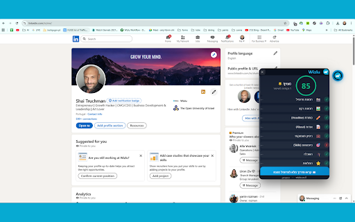 Wizlu - ניתוח פרופיל LinkedIn screenshot 3