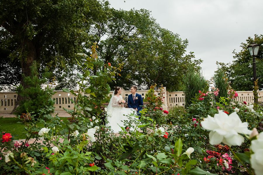 Fotografo di matrimoni Natalya Zhimaeva (zhimaeva). Foto del 27 settembre 2015