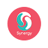 Synergy 1.0