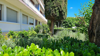 appartement à Avignon (84)