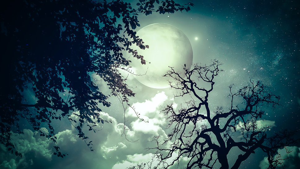 http://images.forwallpaper.com/files/thumbs/preview/11/114974__night-trees-branches-moon-stars_p.jpg