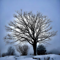 I colori del silenzio di 