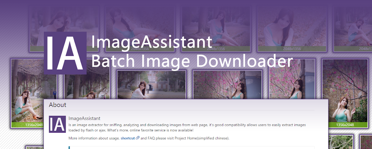 ImageAssistant Batch Image Downloader Preview image 2