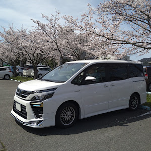 ヴォクシー