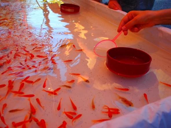 Kingyo-sukui | Goldfish scooping (金魚すくい, 金魚掬い, Kingyo-sukui)… | Flickr
