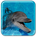 Dolphin Live Wallpaper icon