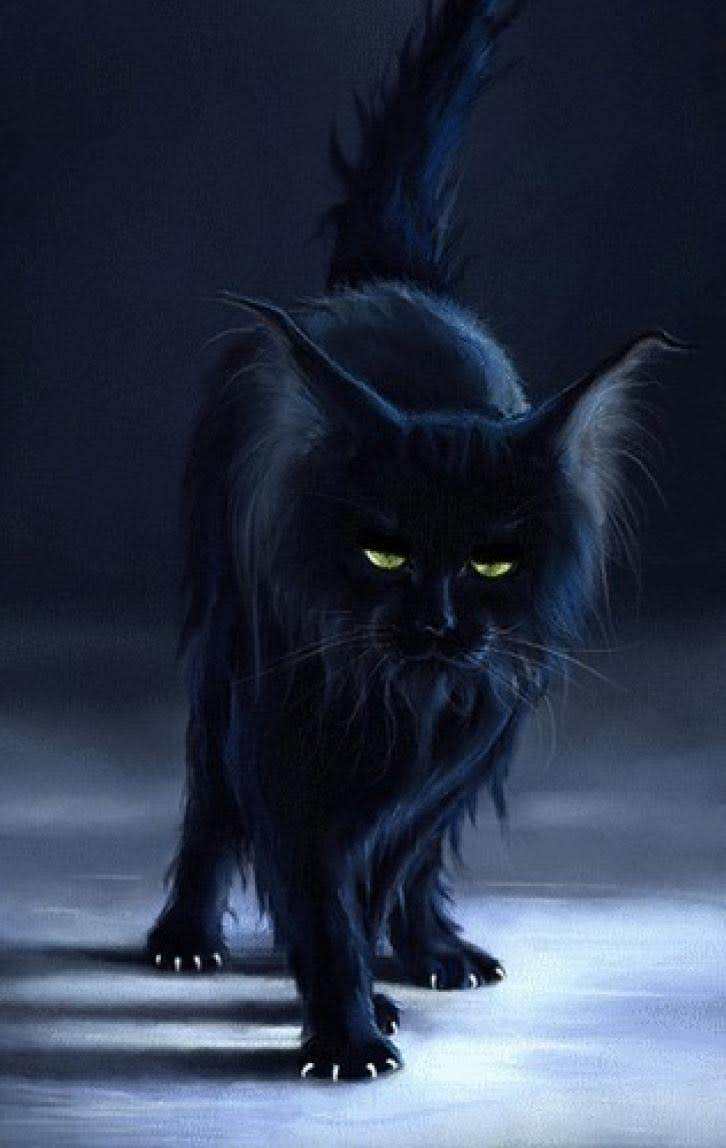 Black Cats As Witches' Familiars