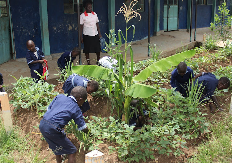 Learners at the school garden.