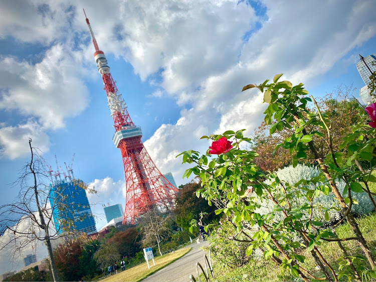 ☆Rito☆さんが投稿した東京タワー・写活に関するカスタム事例の投稿画像1枚目