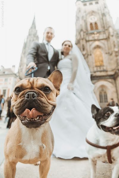 Fotógrafo de bodas Dmitriy Tkachuk (dmitriytkachuk). Foto del 3 de julio 2013