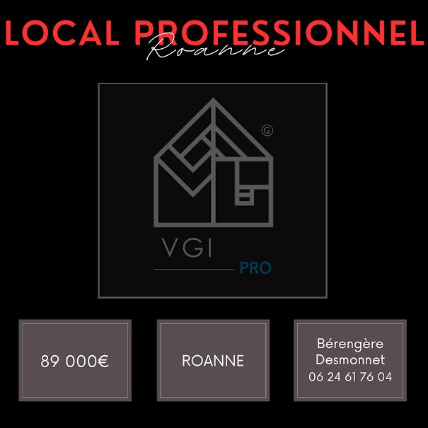 Vente locaux professionnels  600 m² à Roanne (42300), 89 000 €