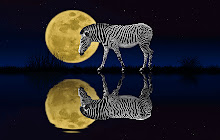 Zebra - New Tab in HD small promo image