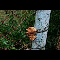 Autunno in ostaggio   di 