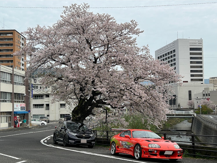 の投稿画像2枚目