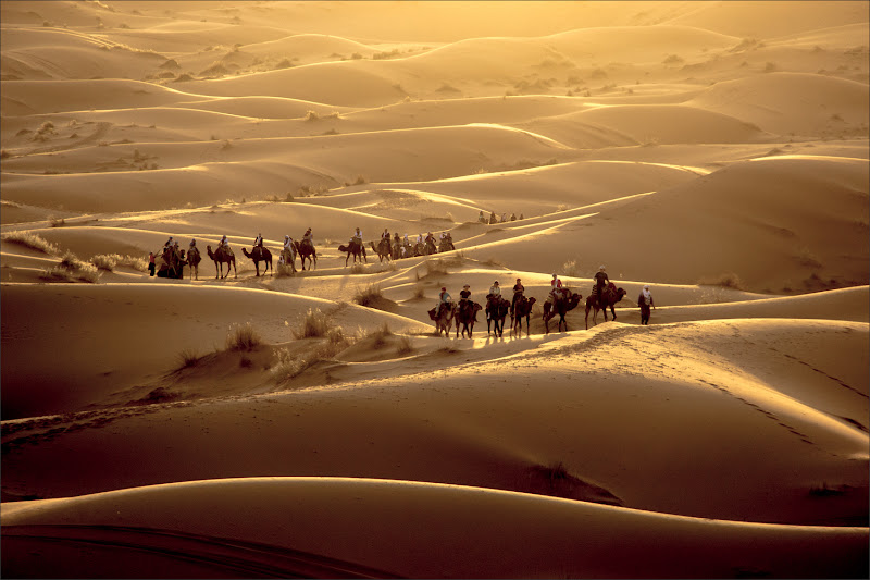 Desert Light di alberto raffaeli