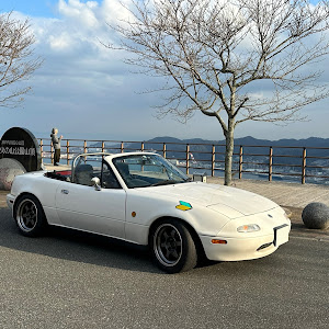 ロードスター NA8C