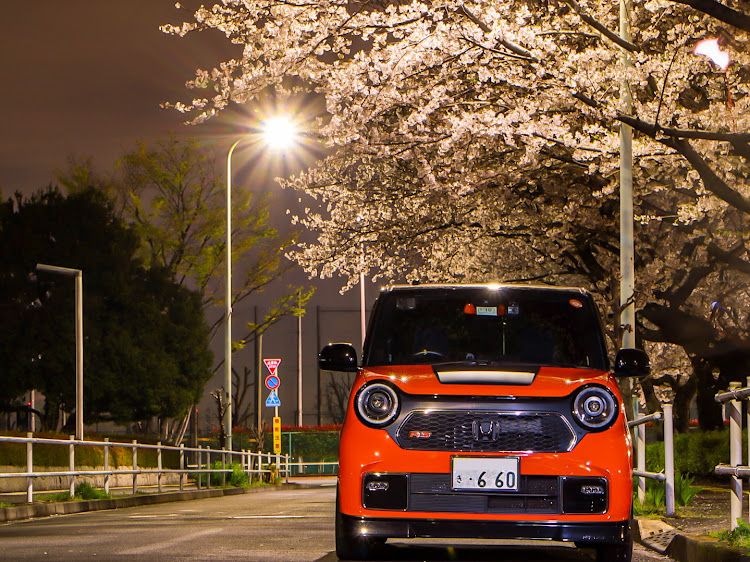 N-ONEの桜と愛車・サクラと愛車・桜シーズン開幕・ドライブ・📸活に関するカスタム事例の投稿画像3枚目
