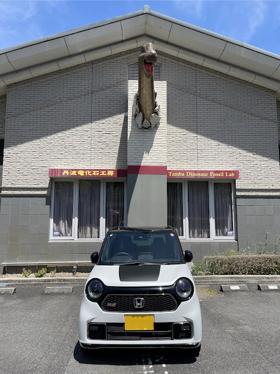 N-ONEのN-ONE RS・丹波竜に関するカスタム事例の投稿画像1枚目