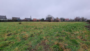 terrain à Wallon-Cappel (59)