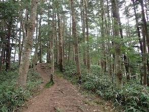 平坦に尾根となる