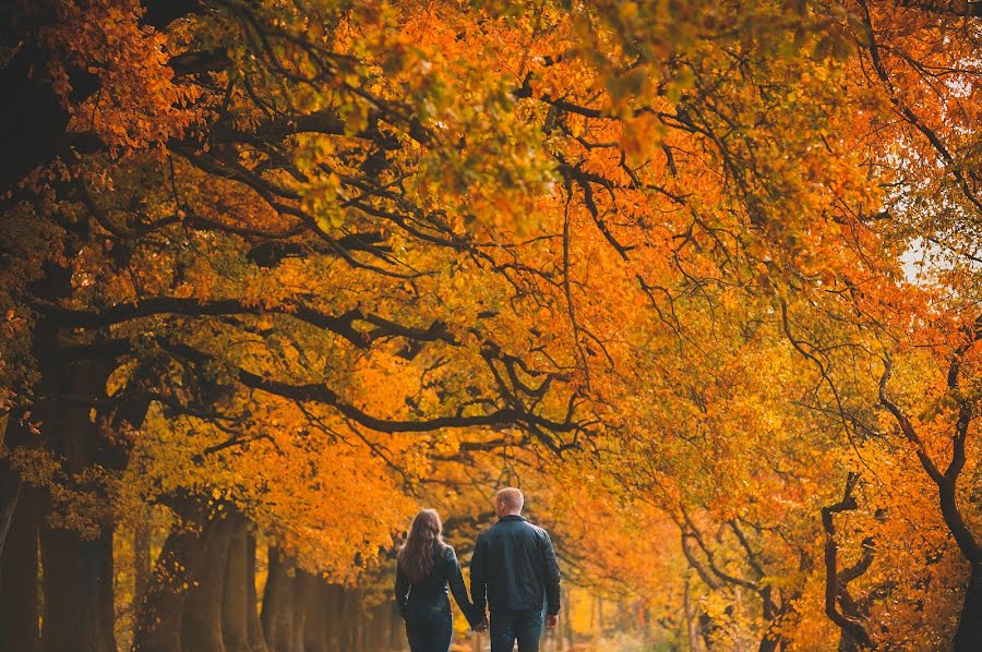 Φωτογράφος γάμων Sergey Kozak (sweetphotos). Φωτογραφία: 8 Νοεμβρίου 2014