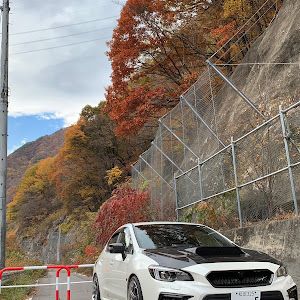 WRX S4 VAG