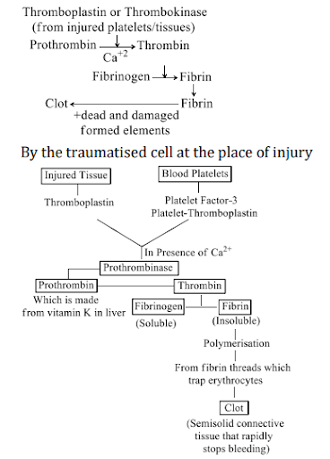 Solution Image