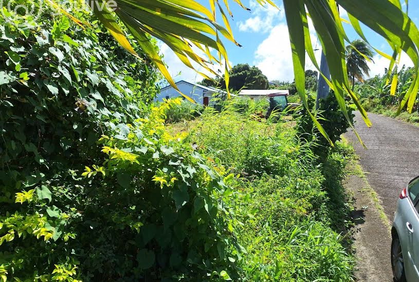  Vente Terrain à bâtir - à Le Lorrain (97214) 