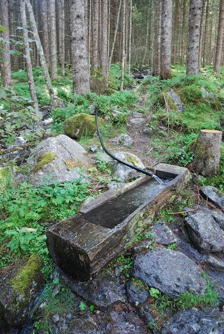 Воплощение мечты об Альпийских прогулках (Высокий Тауэрн), немного Шопрона и Праги