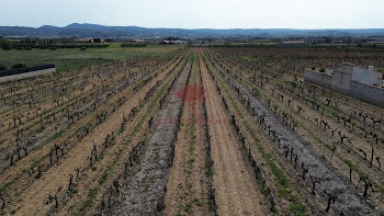 terrain à Saint-Jean-de-Fos (34)