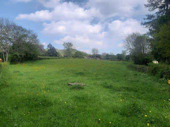 terrain à La Celle-en-Morvan (71)