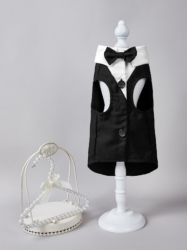 Title 4, Classic Two Feet Button Jacket for Dogs and Cat...