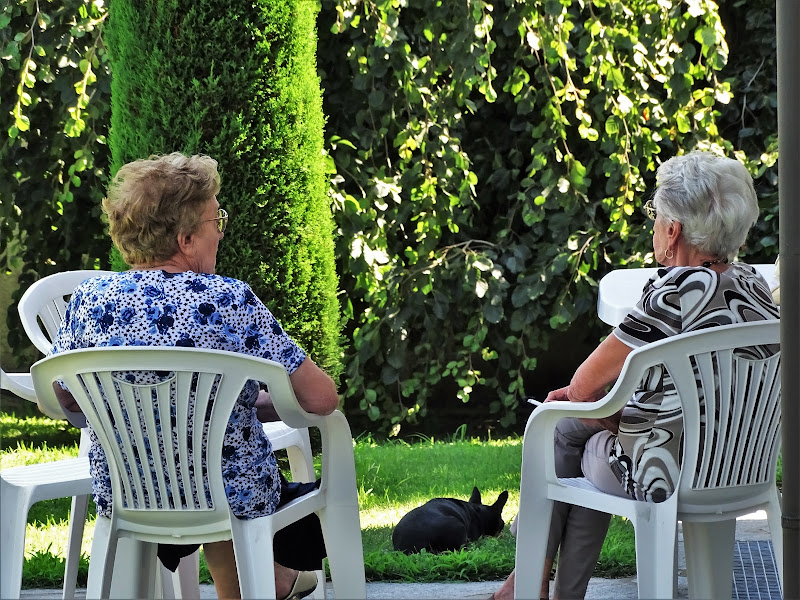 Chiaccherando in giardino di dan