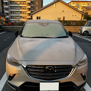 CX-3 DKLFW