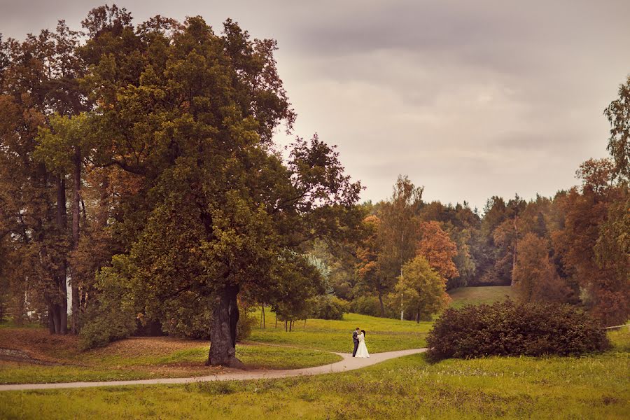 結婚式の写真家Anna Averina (averinafoto)。2014 2月17日の写真