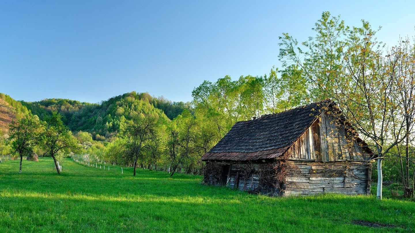 Homestead Rescue: Survival Shelter