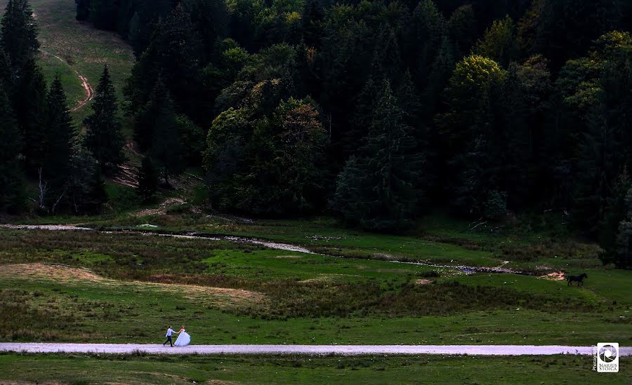 Wedding photographer Marius Stoica (mariusstoica). Photo of 28 September 2017