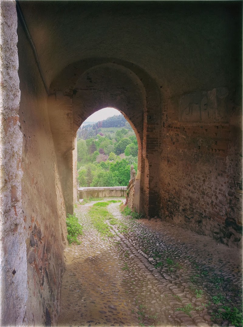 Cammino verde di MonicaT